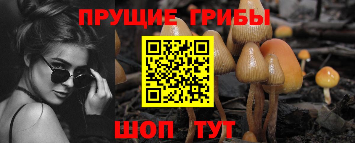 Галлюциногенные грибы Psilocybe  Вход с VPN  Валуйки  Галлюциногенные грибы ЛСД 